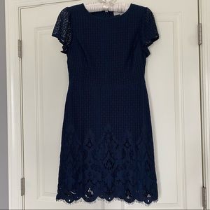 Navy Lace LOFT Shift Dress